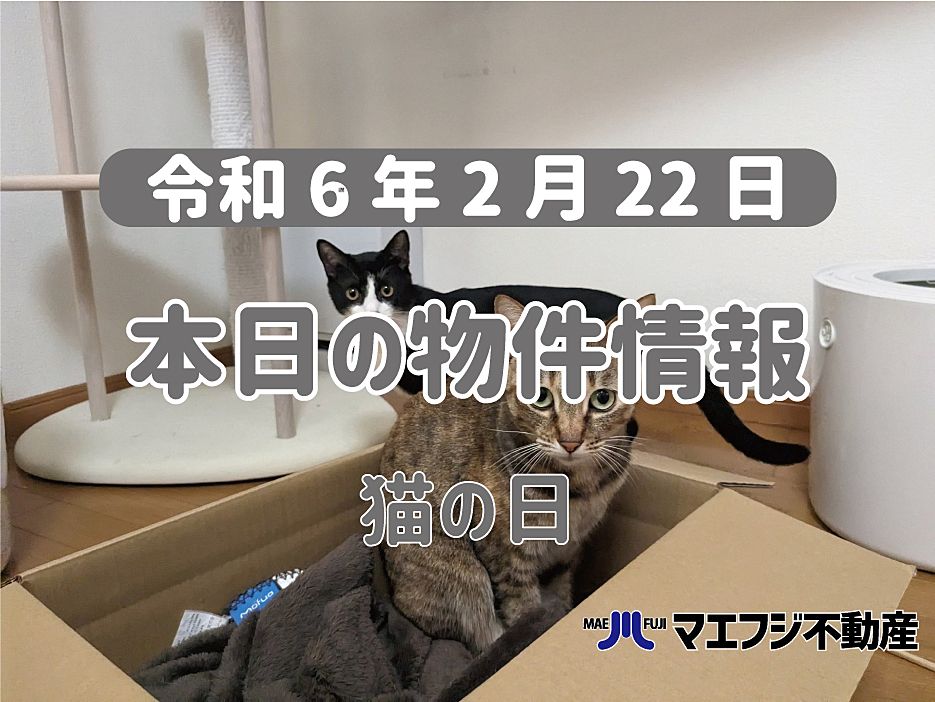 【2月22日】本日の物件情報【猫の日】